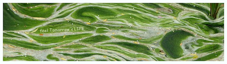 feel Tomorrow's LIFE